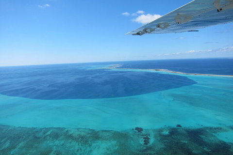 Shipwreck Special Full Day Tour Of The Abrolhos Islands - Attractions Perth 2