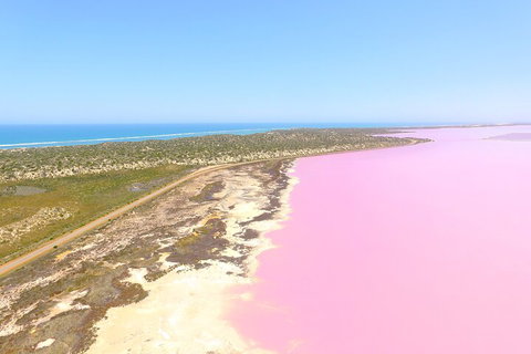 70-minute Pink Lake Scenic Flight - Attractions Perth 5