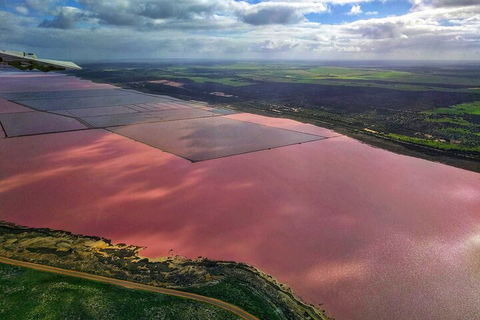 Kalbarri, Pink Lake And Abrolhos Islands Nature Tour - Attractions Perth 1