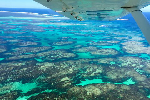 Kalbarri, Pink Lake And Abrolhos Islands Nature Tour - Attractions Perth 5