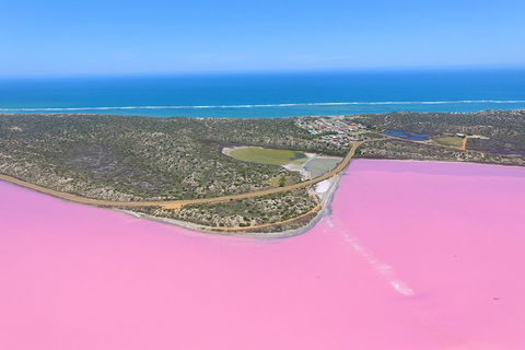 Pink Lake + Abrolhos Islands Nature Tour - Attractions Perth 4