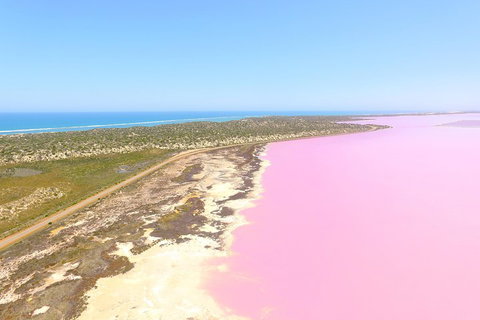 Pink Lake + Abrolhos Islands Scenic Flight - Attractions Perth 4