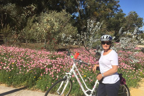 Perth Bike Tour - Beautiful Matilda Bay And Kings Park - Attractions Perth 1