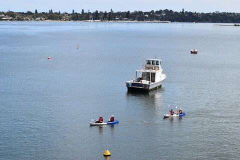 Cliffs And Caves Kayak Tour In Swan River - Attractions Perth 2
