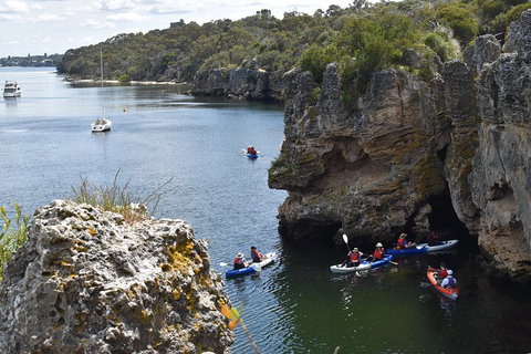 Cliffs And Caves Kayak Tour In Swan River - Attractions Perth 5