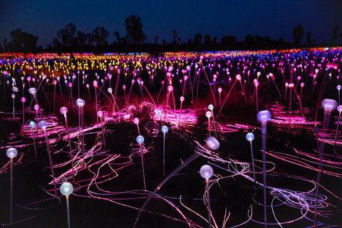 Uluru (Ayers Rock) Field Of Light Sunrise Tour - Attractions Perth 1