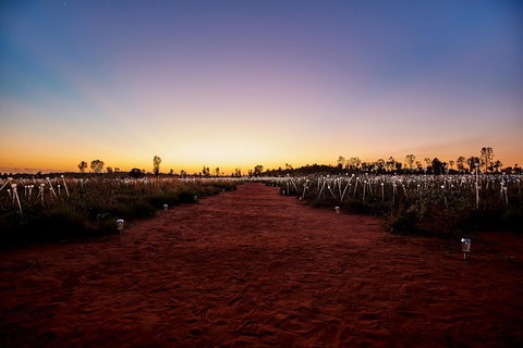 Uluru (Ayers Rock) Field Of Light Sunrise Tour - Attractions Perth 3