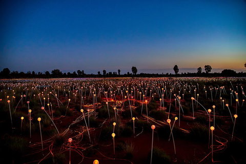 Uluru (Ayers Rock) Field Of Light Sunrise Tour - Attractions Perth 4
