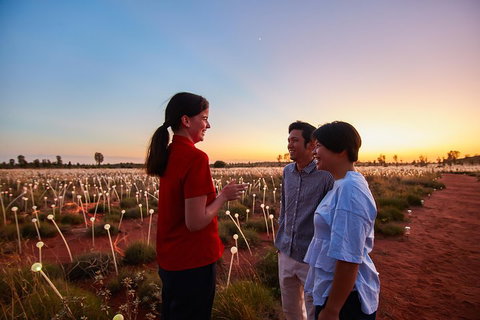Uluru (Ayers Rock) Field Of Light Sunrise Tour - Attractions Perth 5