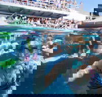 Great Barrier Reef Day Cruise from Cairns Including Snorkeling and Marine Biologist Presentation - Attractions Perth