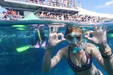 Great Barrier Reef Day Cruise From Cairns Including Snorkeling And Marine Biologist Presentation - Attractions Perth 0
