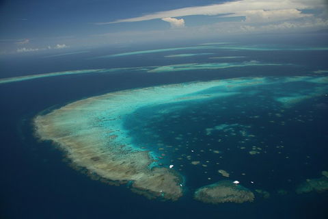 Great Barrier Reef Day Cruise From Cairns Including Snorkeling And Marine Biologist Presentation - Attractions Perth 1