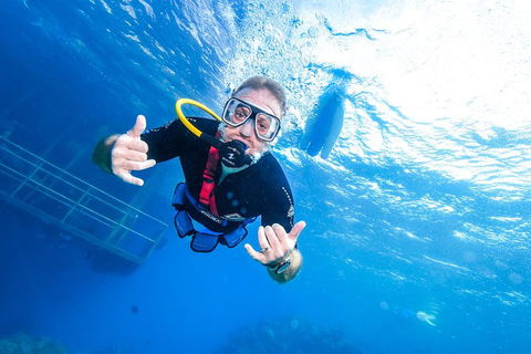 Great Barrier Reef Day Cruise From Cairns Including Snorkeling And Marine Biologist Presentation - Attractions Perth 3