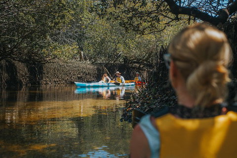 Kayak Tour In Adelaide Dolphin Sanctuary - Attractions Perth 0