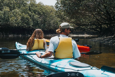 Kayak Tour In Adelaide Dolphin Sanctuary - Attractions Perth 2