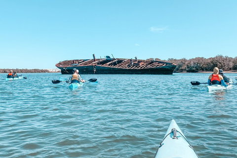 Kayak Tour In Adelaide Dolphin Sanctuary - Attractions Perth 3