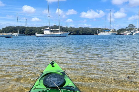 Kayak Tour In Adelaide Dolphin Sanctuary - Attractions Perth 4