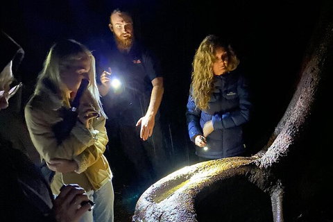 Evening Rainforest & Glow Worm Experience - Attractions Perth 2