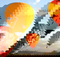 Natural Bridge  Springbrook Waterfalls Tour  Hot Air Balloon with Breakfast - Attractions Perth