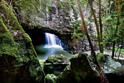 Natural Bridge & Springbrook Waterfalls Tour + Hot Air Balloon With Breakfast - Attractions Perth 4