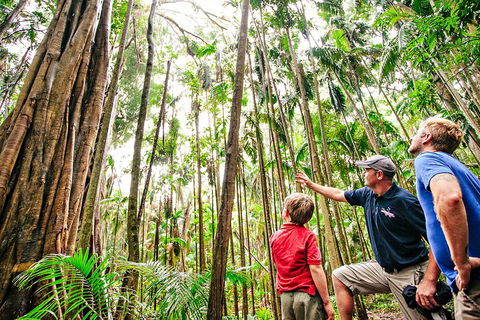 Natural Bridge & Springbrook Waterfalls Tour + Hot Air Balloon With Breakfast - Attractions Perth 5