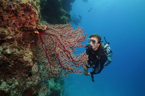 Silversonic Outer Great Barrier Reef Dive And Snorkel Cruise From Port Douglas - Attractions Perth 0