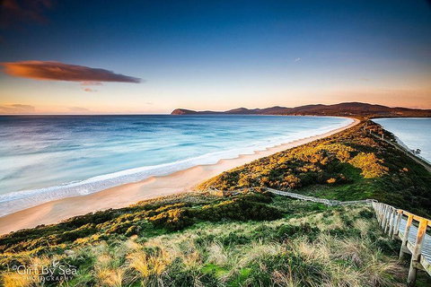 Bruny Island Private Charter Service - Attractions Perth 0