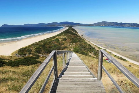 Bruny Island Private Charter Service - Attractions Perth 4