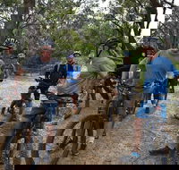 Fully guided E-Mountain Bike Tour on the beautiful Mornington Peninsula. - Attractions Perth