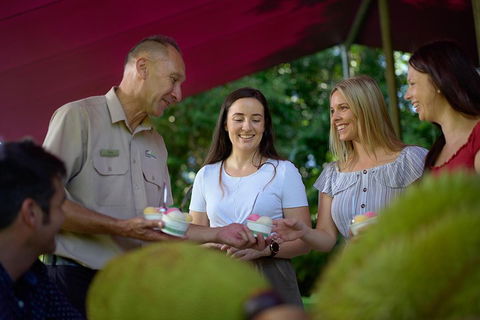 Daintree And Cape Tribulation Tour From Cairns - Attractions Perth 5