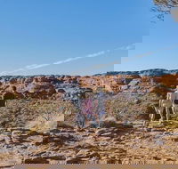 The Amazing Kings Canyon 4-Hours Walking Tour and Hike - Attractions Perth