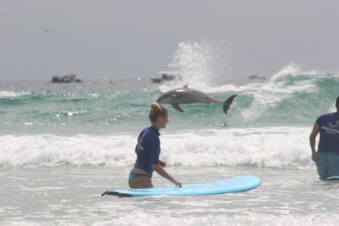 10-Day Surf Adventure From Sydney To Brisbane Including Coffs Harbour, Byron Bay And Gold Coast - Attractions Perth 0