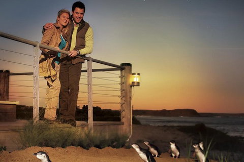 The Ultimate Melbourne Attractions Pass - Attractions Perth 3