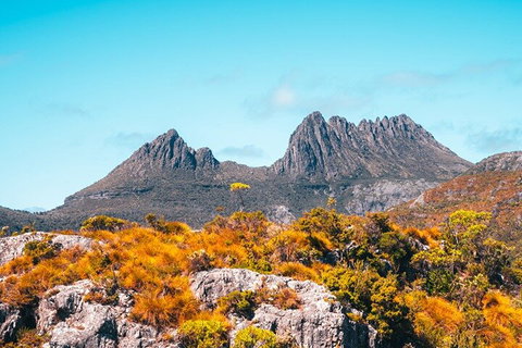 Cradle Mountain National Park Day Tour From Launceston - Attractions Perth 1