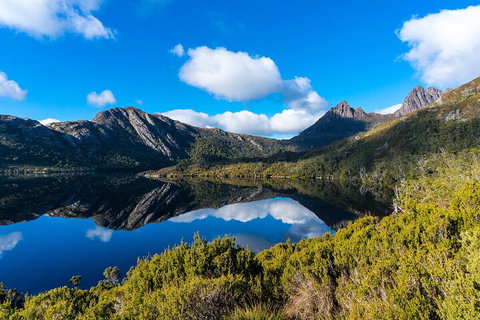 Cradle Mountain National Park Day Tour From Launceston - Attractions Perth 3
