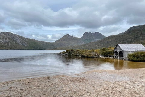 Cradle Mountain National Park Day Tour From Launceston - Attractions Perth 4