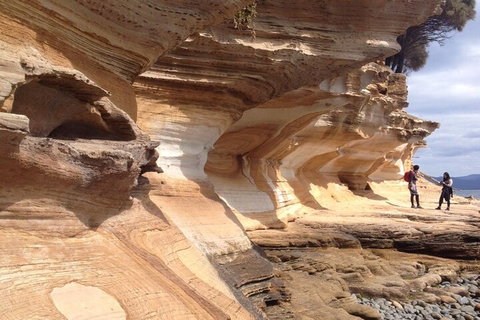 Hobart Minibus Full-Day Private Tour - Attractions Perth 0