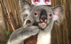 Kuranda Tour Deluxe Course With Kuranda 3 Zoos Or Free Course - thumb 0