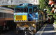 Kuranda Tour Deluxe Course With Kuranda 3 Zoos Or Free Course - thumb 5