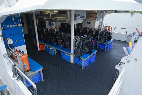 Silverswift Outer Great Barrier Reef Dive And Snorkel Cruise From Cairns - Attractions Perth 0