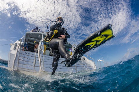 Silverswift Outer Great Barrier Reef Dive And Snorkel Cruise From Cairns - Attractions Perth 1