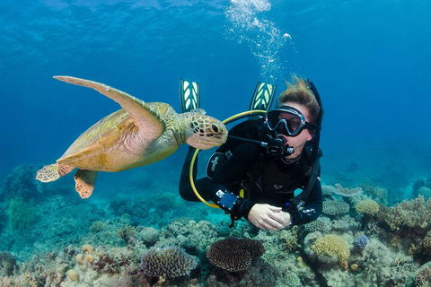 Silverswift Outer Great Barrier Reef Dive And Snorkel Cruise From Cairns - Attractions Perth 2