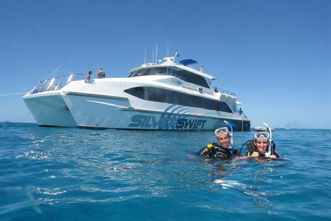 Silverswift Outer Great Barrier Reef Dive And Snorkel Cruise From Cairns - Attractions Perth 4