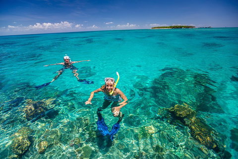 Green Island Discovery Including Glass Bottom Boat Tour Departing Cairns - Attractions Perth 2