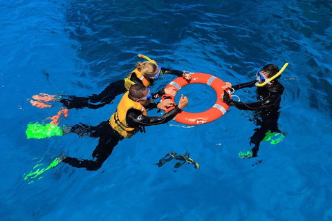 Great Barrier Reef Adventure From Cairns - Attractions Perth 3