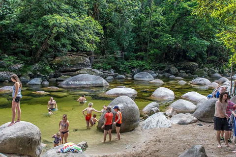 Cape Tribulation, Mossman Gorge, And Daintree Rainforest Day Trip From Cairns Or Port Douglas - Attractions Perth 1