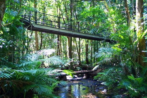 Cape Tribulation, Mossman Gorge, And Daintree Rainforest Day Trip From Cairns Or Port Douglas - Attractions Perth 3