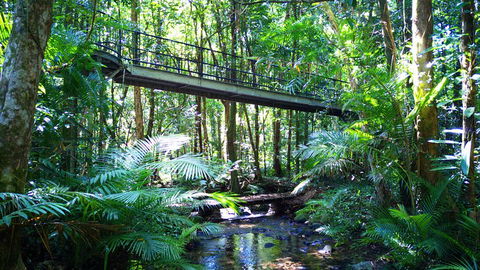 Double Pack-Ancient Rainforest And Waterfalls! - Attractions Perth 0