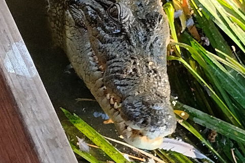Litchfield Park Adventures And Jumping Crocodile Cruise + Butterfly Farm - Attractions Perth 1
