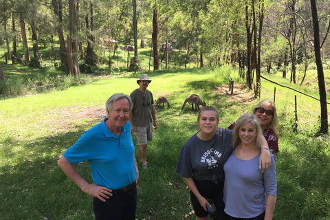 Small Group Blue Mountains Day Tour From Sydney - Attractions Perth 1